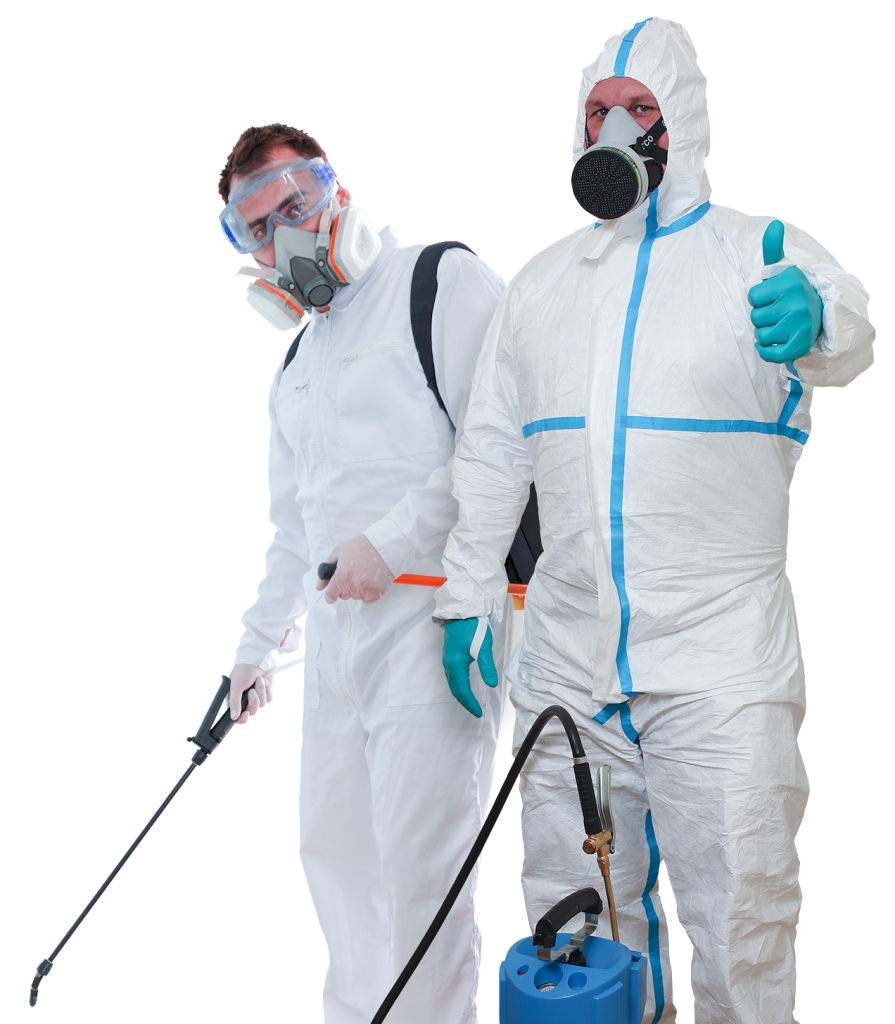 Fantastic pest control experts